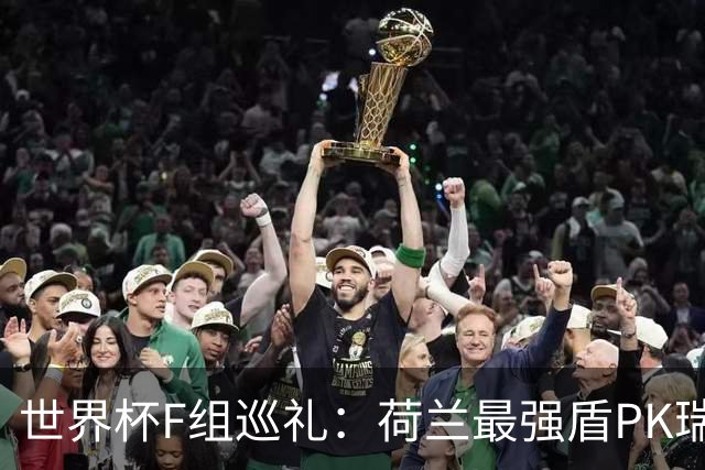 世界杯F组巡礼：荷兰最强盾PK瑞典犀利刀 日本短板明显