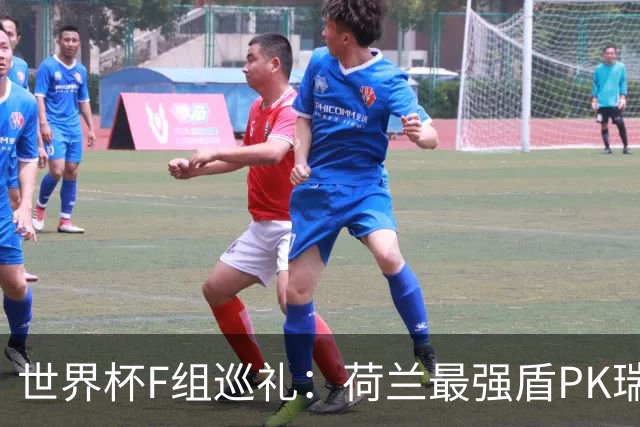 世界杯F组巡礼：荷兰最强盾PK瑞典犀利刀 日本短板明显